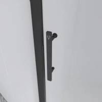 Душевая дверь раздвижная E1-B-110-01-C9 1100x1950 Цвет профиля Чёрный матовый Стекло  Прозрачное  Veconi